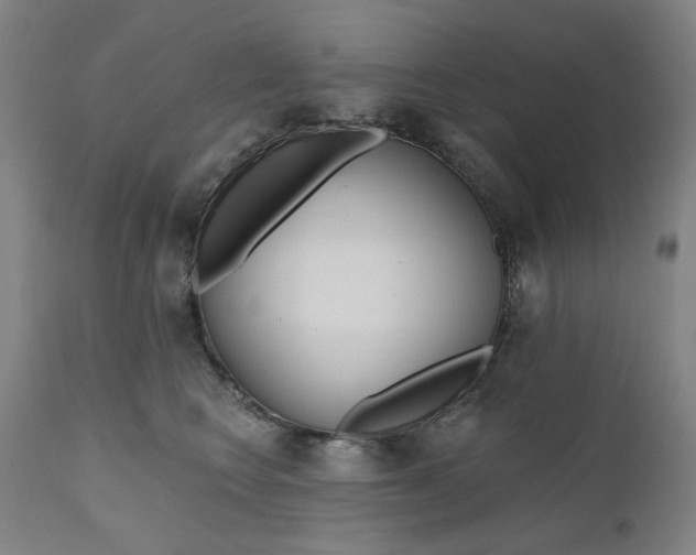 X0000111180566200907151327