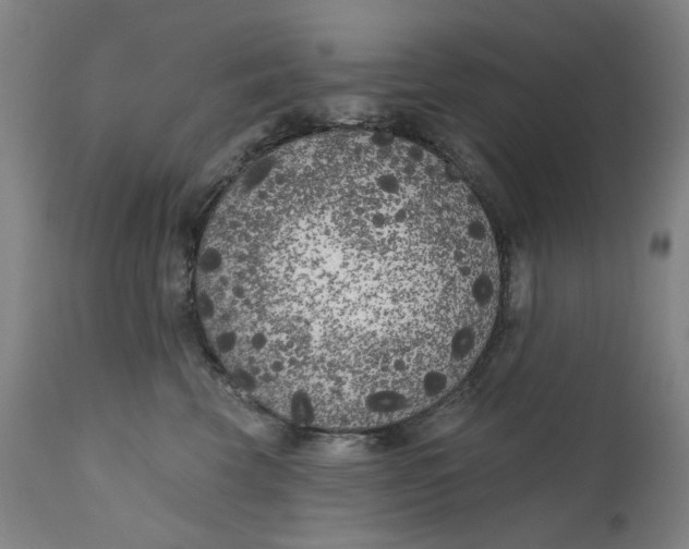 X0000111180569200907151327