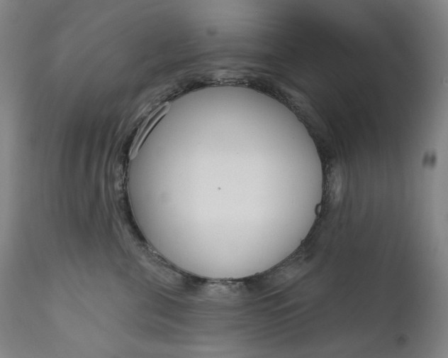 X0000111180571200907151327