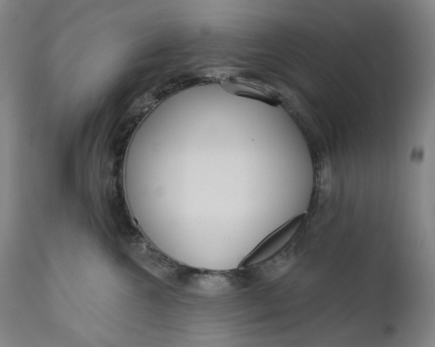 X0000111180572200907151327