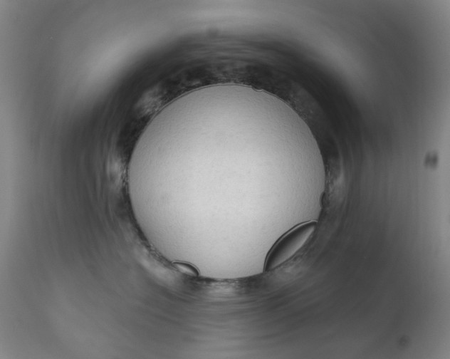 X0000111180574200907151327