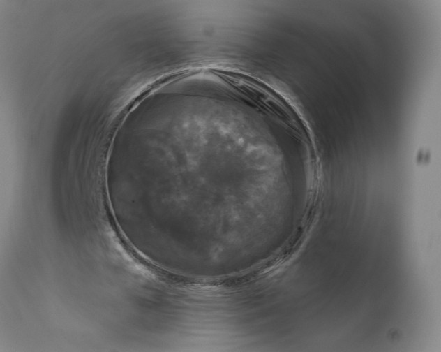 X0000111180577200907151326