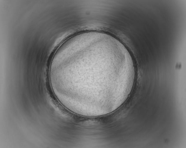 X0000111180578200907151326