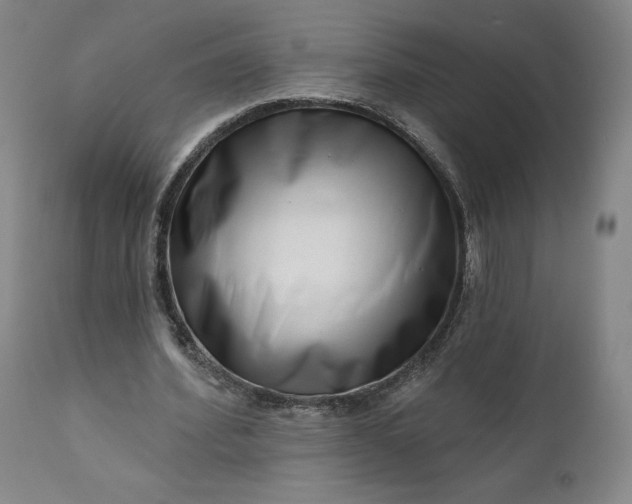 X0000111180580200907151326