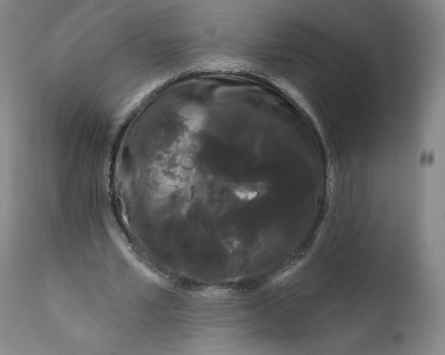 X0000111180581200907151326