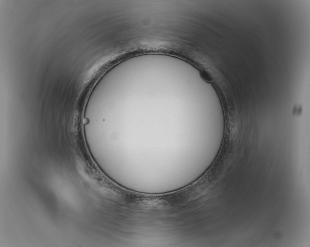 X0000111180583200907151326