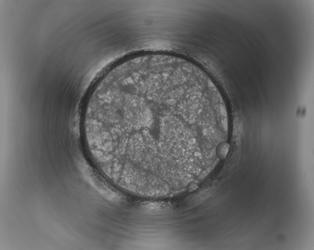 X0000111180584200907151326