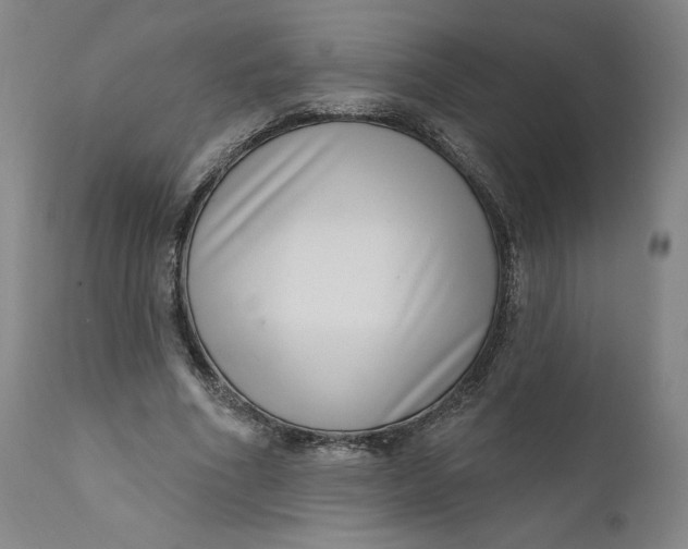 X0000111180586200907151326