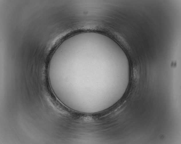 X0000111180588200907151326