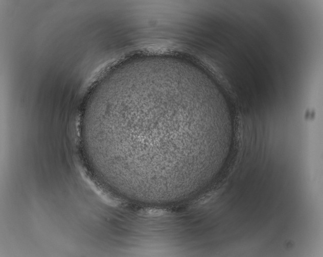 X0000111180590200907151326