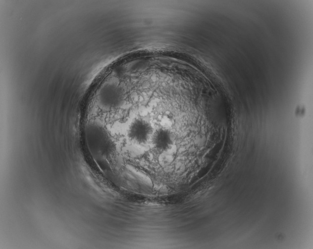 X0000111180592200907151326