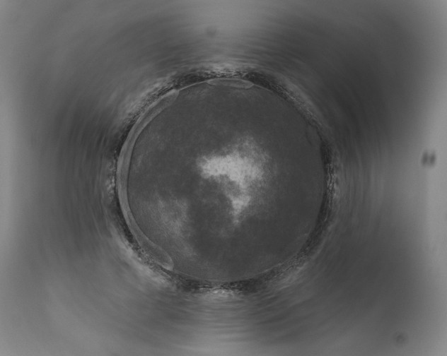 X0000111180593200907151326