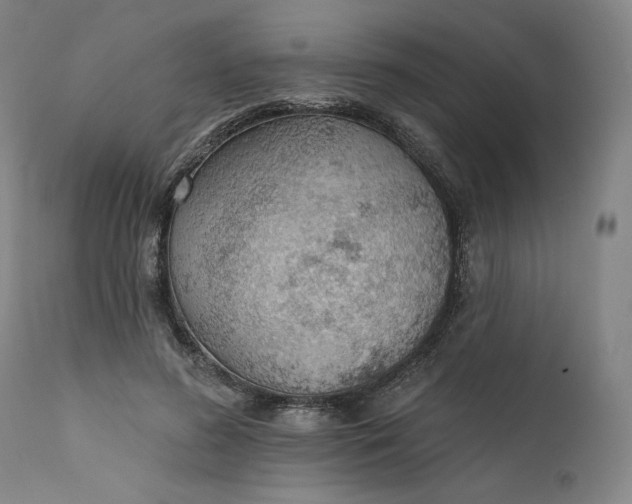 X0000111180596200907151326