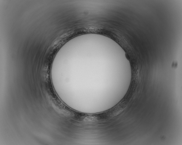 X0000111180599200907151326