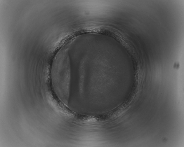 X0000111180600200907151326