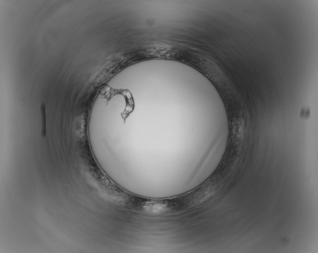 X0000111180602200907151326