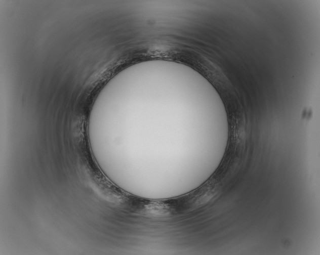 X0000111180603200907151326