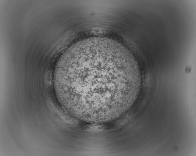 X0000111180606200907151326