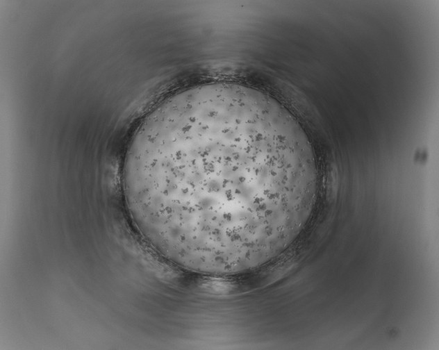 X0000111180610200907151326