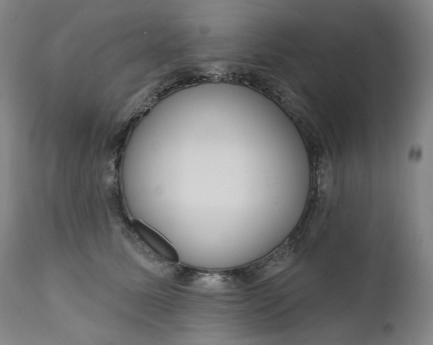 X0000111180611200907151326