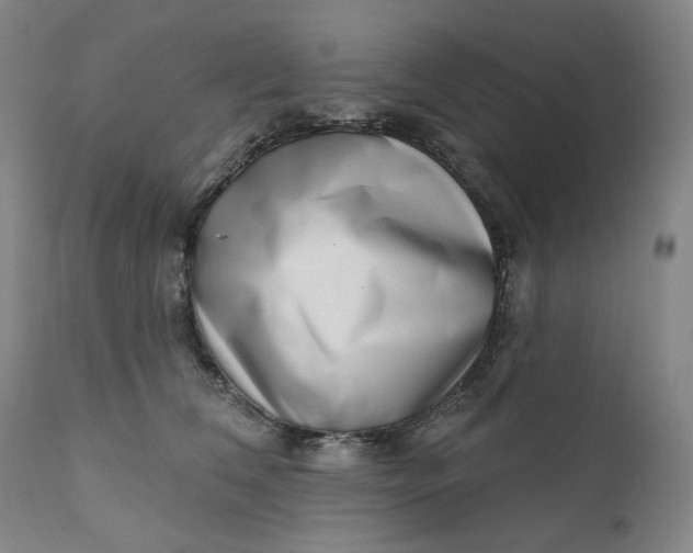 X0000111180612200907151326