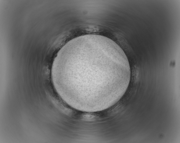 X0000111180614200907151326