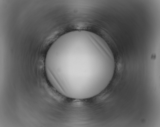 X0000111180620200907151326