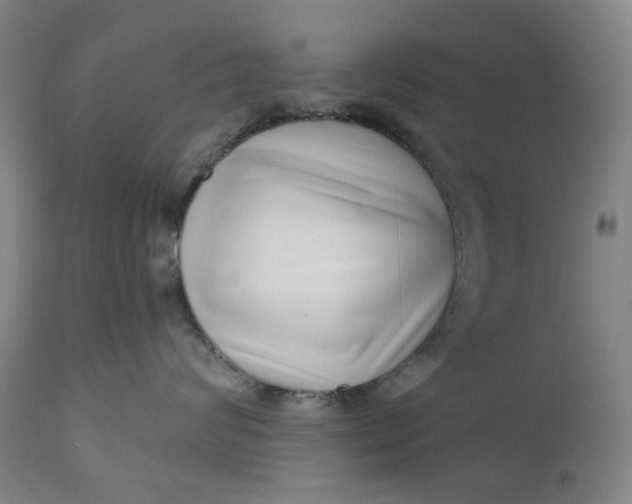 X0000111180624200907151326