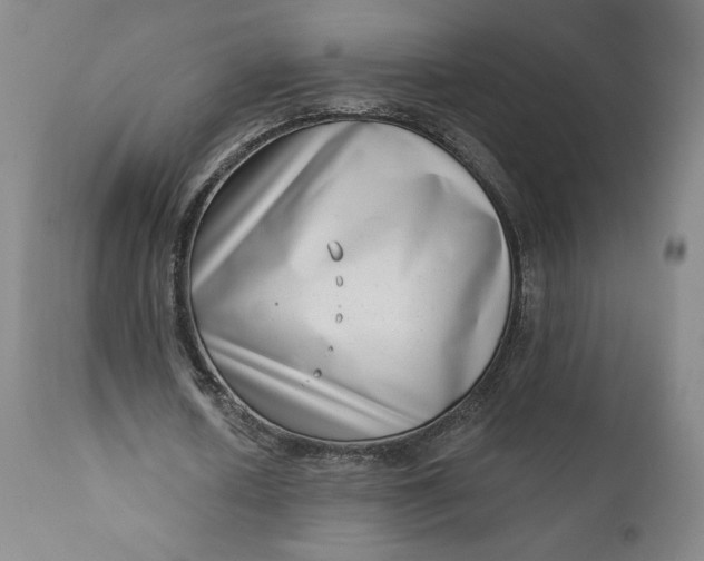 X0000111180626200907151325