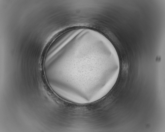 X0000111180628200907151325