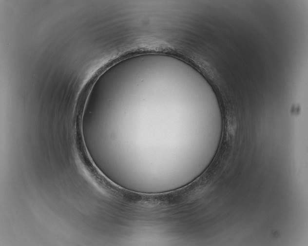 X0000111180630200907151325