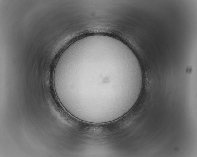 X0000111180631200907151325