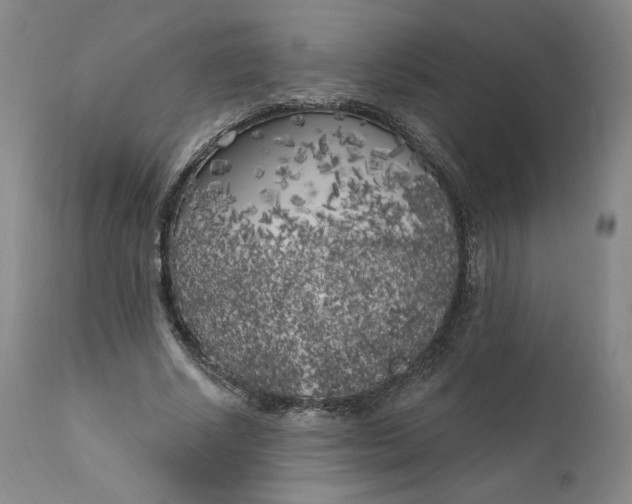 X0000111180634200907151325