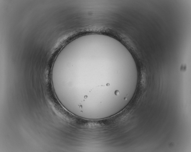 X0000111180636200907151325