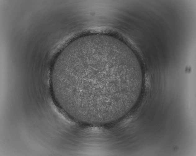 X0000111180637200907151325