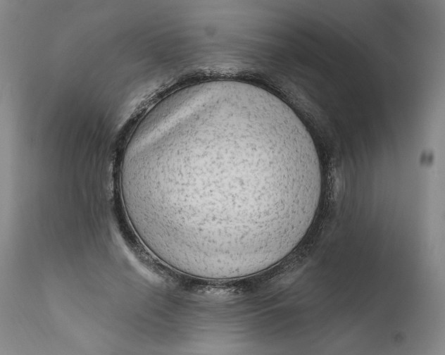 X0000111180638200907151325