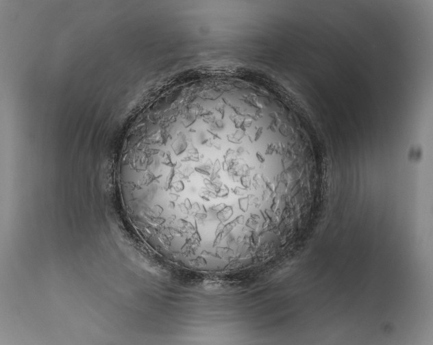 X0000111180641200907151325