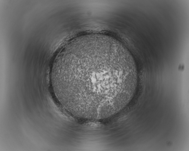 X0000111180642200907151325