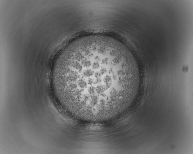 X0000111180643200907151325