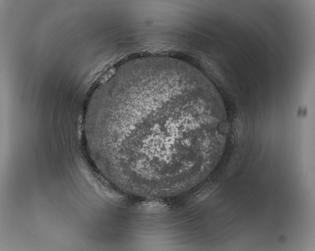 X0000111180644200907151325