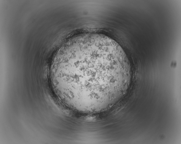 X0000111180647200907151325