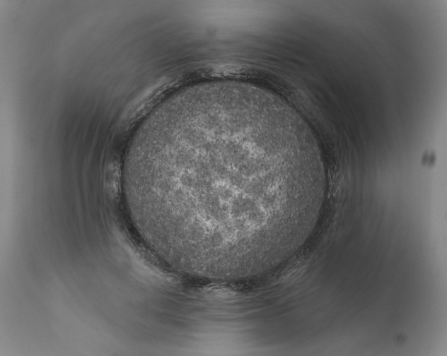 X0000111180648200907151325