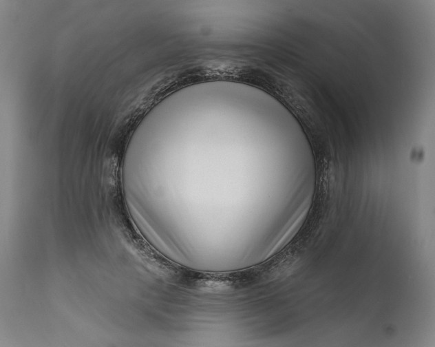 X0000111180649200907151325