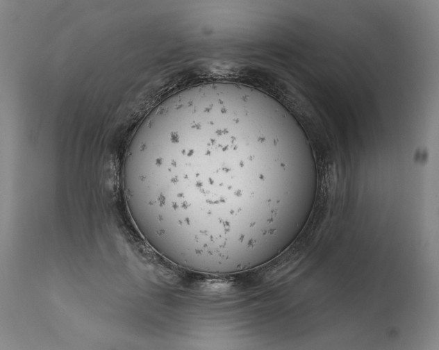 X0000111180651200907151325