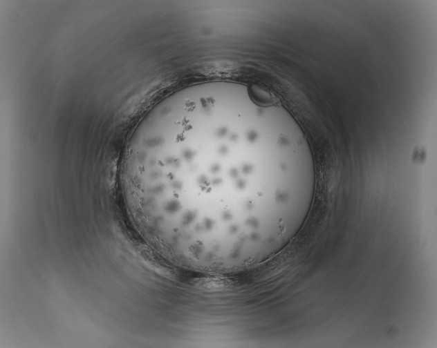 X0000111180652200907151325