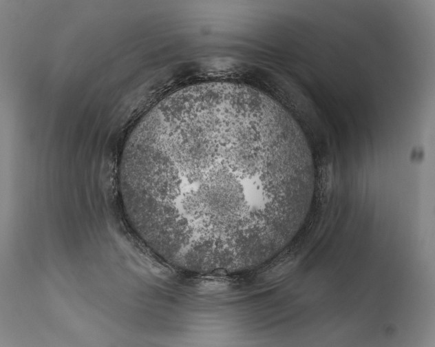 X0000111180653200907151325