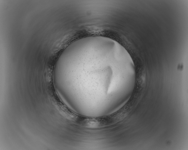 X0000111180658200907151325