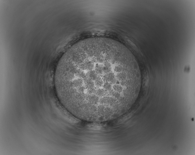 X0000111180661200907151325