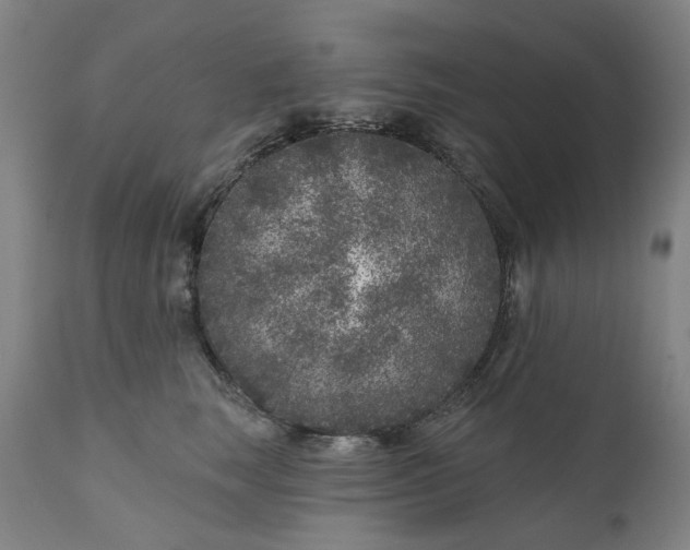 X0000111180663200907151325