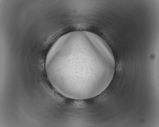 X0000111180666200907151325